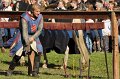 Ritterspiele   067